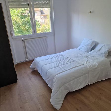Location Appartement 80M2 A Rombas Екстер'єр фото